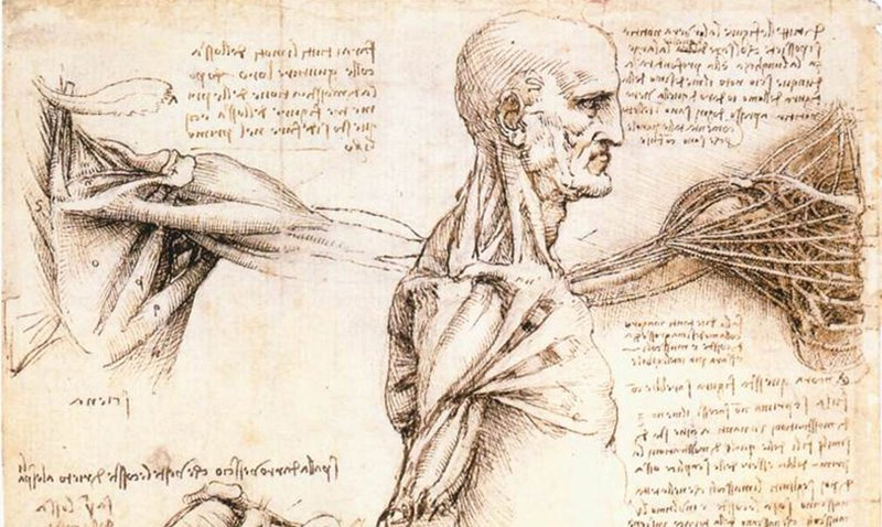 Da Vinci, Role Model for Designers — image 3