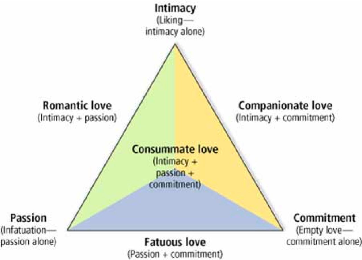 Robert Sternberg’s triangular theory of love